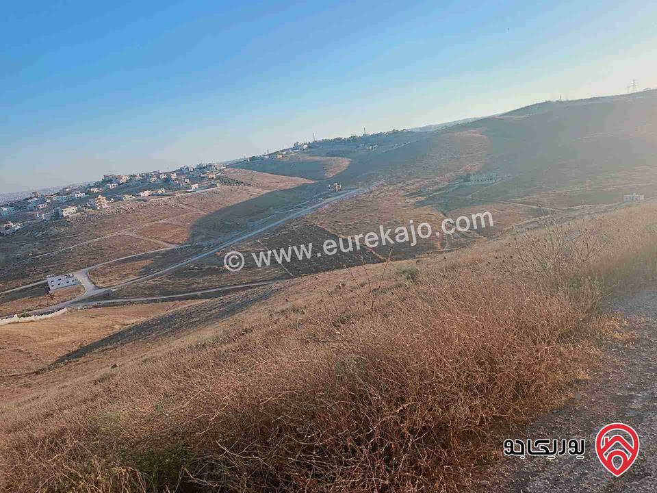قطعة ارض مساحة 4 دونم و 180م للبيع في الزرقاء - جريبا  