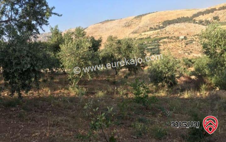 أرض مساحة 3 دونم و 427م للبيع في السلط