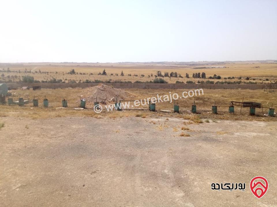 مزرعة مساحة 125 دونم وبناء 100م للبيع من أراضي جنوب عمان - بمنطقة زيزيا (ام قصير )