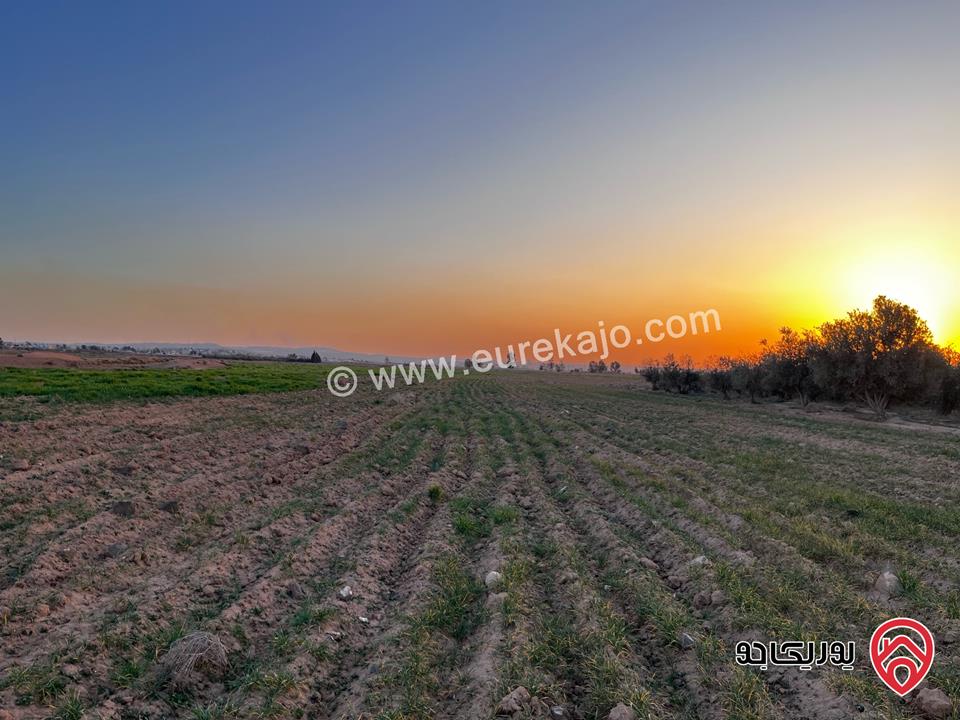 من المالك مباشرة وحدتين زراعيات مساحة 58 دونم للبيع في الزرقاء 