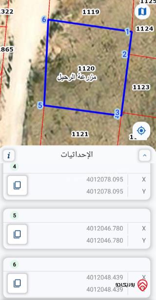 قطعة أرض مساحة 787م للبيع في الزرقاء - الأميرة هيا	