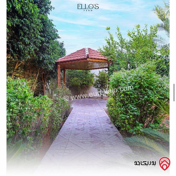 شاليه ومزرعة فخمة للايجار في البحر الميت - جوفة الكفرين