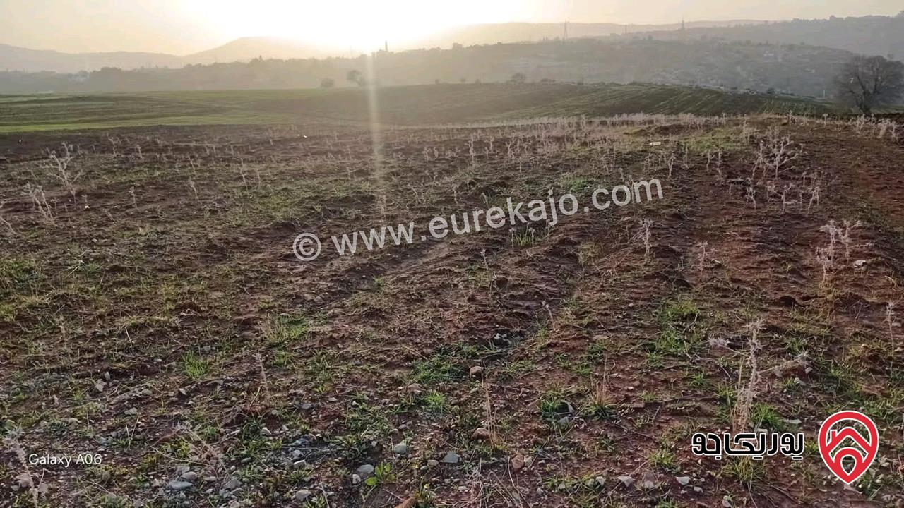 قطعة أرض تنظيم زراعي مساحة 4 دونم و 200م للبيع في السلط - العزب