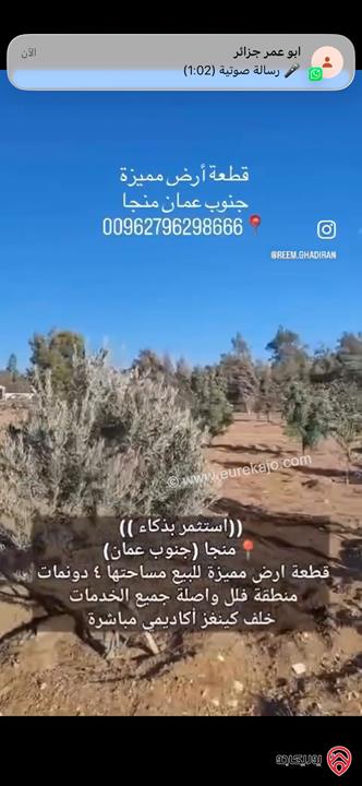 قطعة ارض مساحة 4 دونم للبيع من أراضي جنوب عمان - منجا