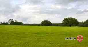 ارض مساحة 518م للبيع من اراضي جنوب عمان - ابوعلندا