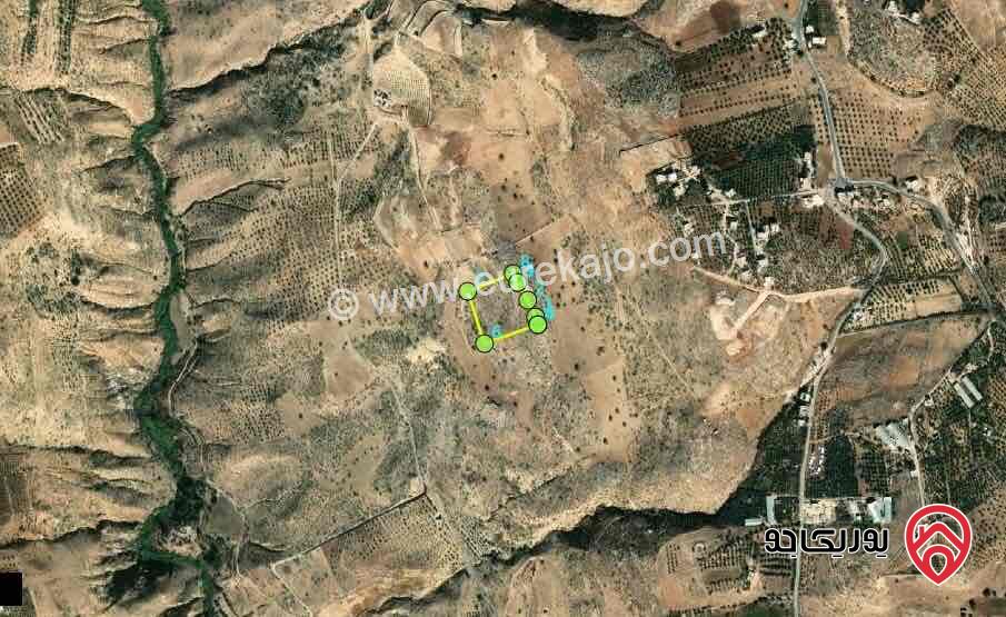ارض مميزة مساحة 10 دونم للبيع في عمان - البحاث 
