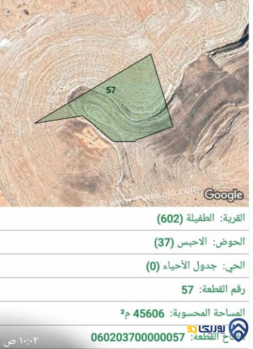 قطعة أرض مساحة 45606م للبيع في الطفيلة