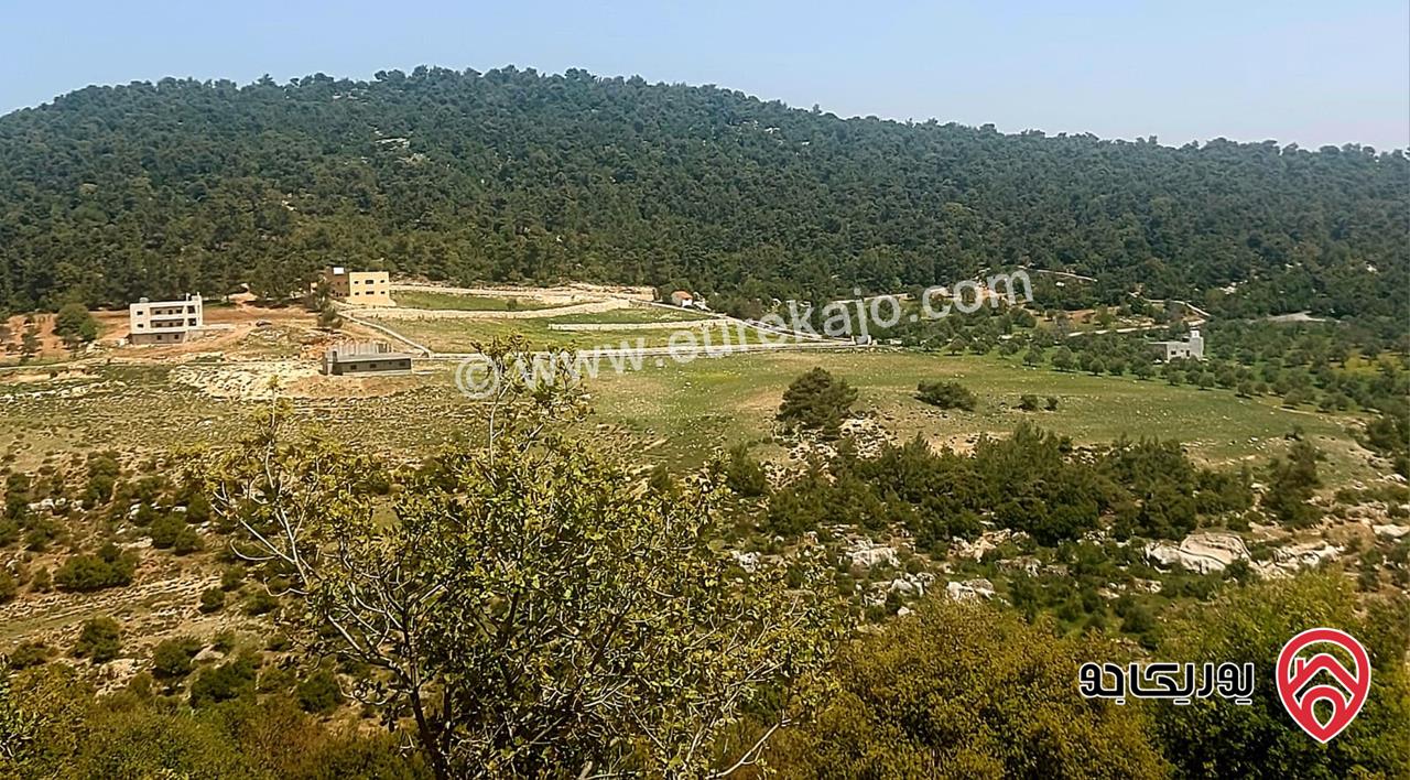 مزرعة مساحة الأرض 1066م والبناء 150م للبيع في عجلون أجمل مناطق عنجرة – حوض أم جلود