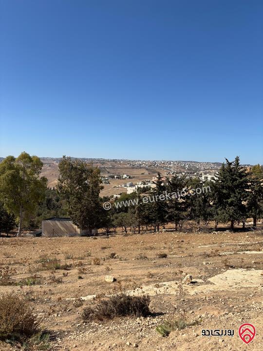 أراضي سكنية مكونة من 15 قطعة المساحات من 1000م - 1100م للبيع في السلط - السرو على اجمل تلال السرو بإطلالة رائعة على عمان والسلط