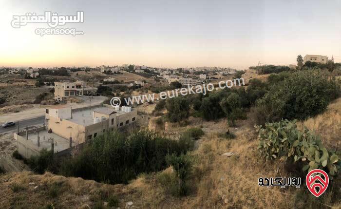قطعة ارض مساحة 2 دونم و 400م للبيع في عمان - ناعور