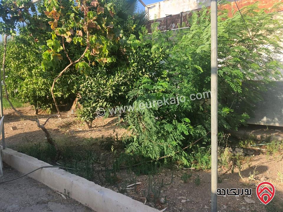 بيت ريفي مساحة 100م مع ارض 900م للبيع في الاغوار الشمالية - منطقة كريمة