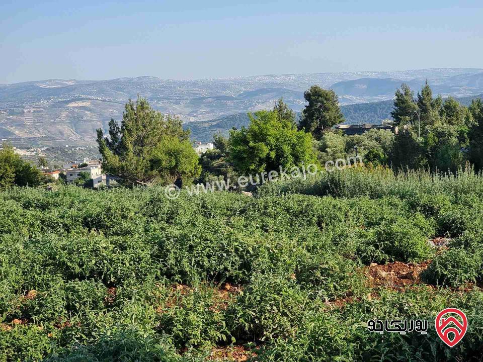 مزرعة جميلة جدا مساحة 18000م للبيع في جرش الكته حوض المحافير 
