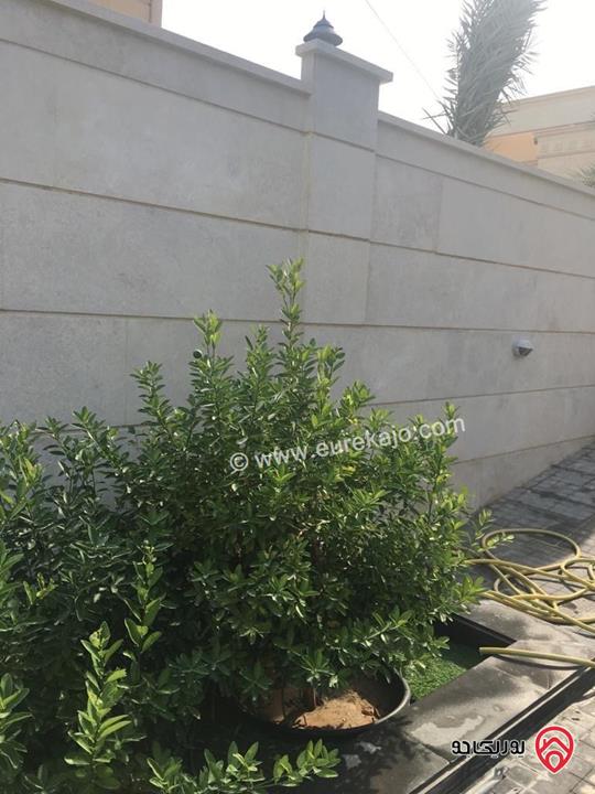 عمارة على أرض 1023م للبيع في عمان - خلدا