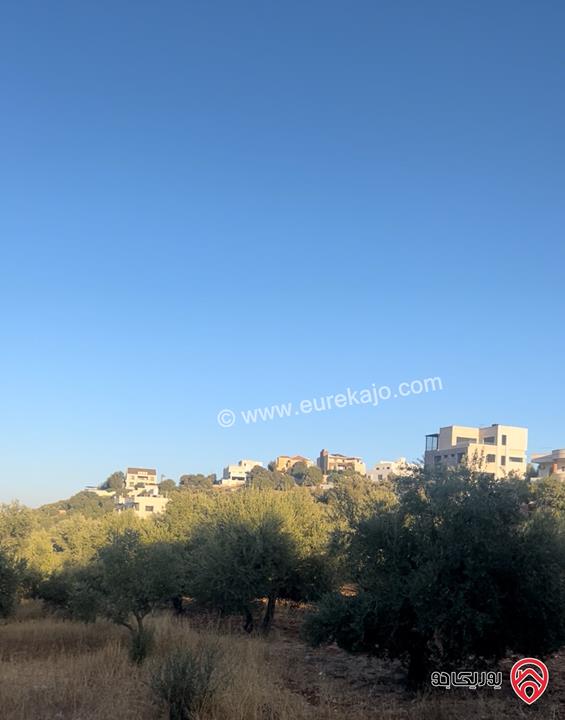 قطعة أرض مساحة 538م للبيع في عمان - منطقة بدر الجديدة 