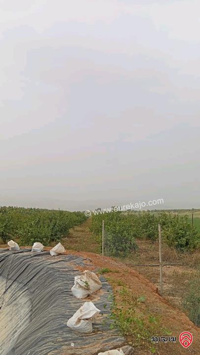 قطعة ارض مساحة 3 دونم و 400م للبيع في اربد - الأغوار الشمالية 