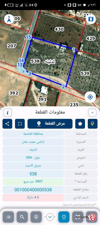 قطعة ارض مساحة 6 دونم مادبا - دليلة الحمايدة