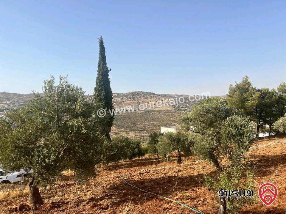 قطعة أرض ريفية مساحة 7 دونم للبيع في في جرش سوف حوض بيدر الحمص 
