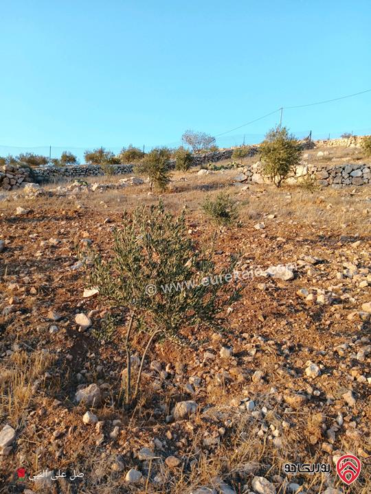 ارض مساحة 3 دونم و 400م للبيع من اراضي المفرق/قضاء رحاب موقع مميز مرتفعة ومطلة ومحاطة بشاليهات ومزارع بسعر مناسب