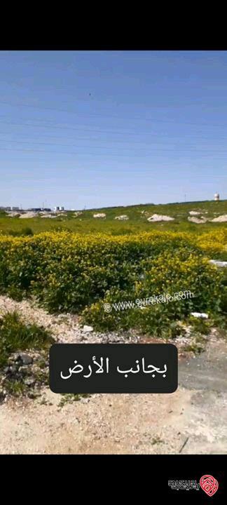قطعة أرض مساحة 302م للبيع أو للبدل على (بيت) مع دفع الفرقية في عمان - أبو علندا