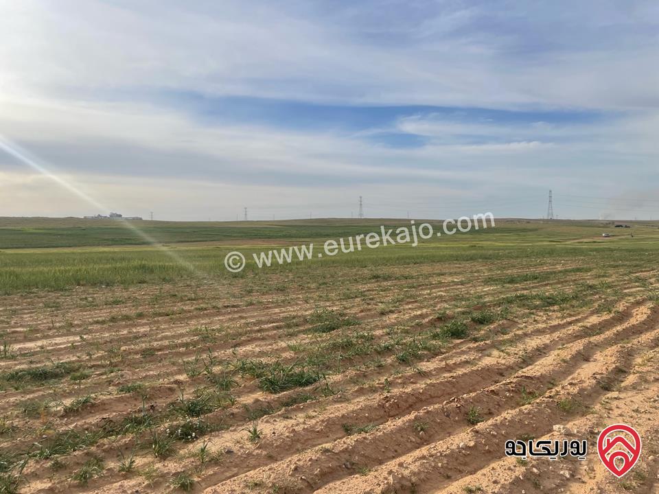 أرض مساحة 21 دونم و 400م للبيع من أراضي شرق عمان - الماضونة قرب جمرك عمان الجديد 