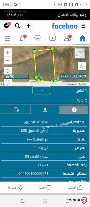 قطعة أرض مساحة 10 دونم زراعي للبيع في المفرق - ام اللولو غرب المفرق وشرق اربد 
