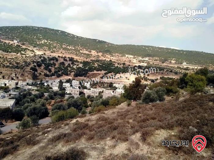 أرض مساحة 2 دونم و 197م للبيع في عجلون - عين جنا بإطلالة مباشرة على قلعة عجلون