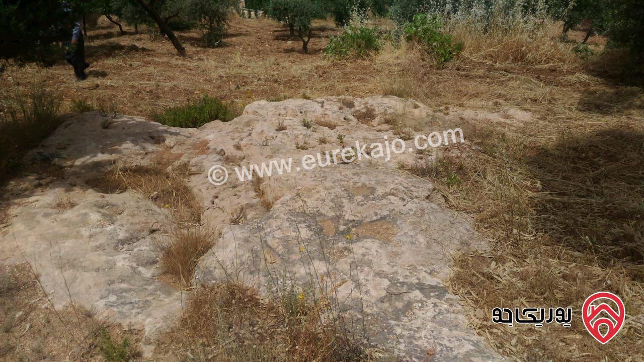 ارض مساحة 1693م للبيع في السلط - ام جوزة 