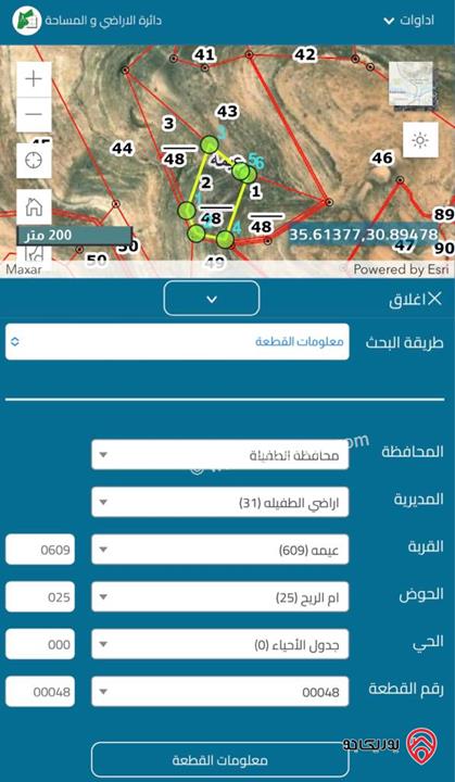 ارض مساحة 10 دونم للبيع في عيمة حوض ام الريح من اراضي الطفيلة