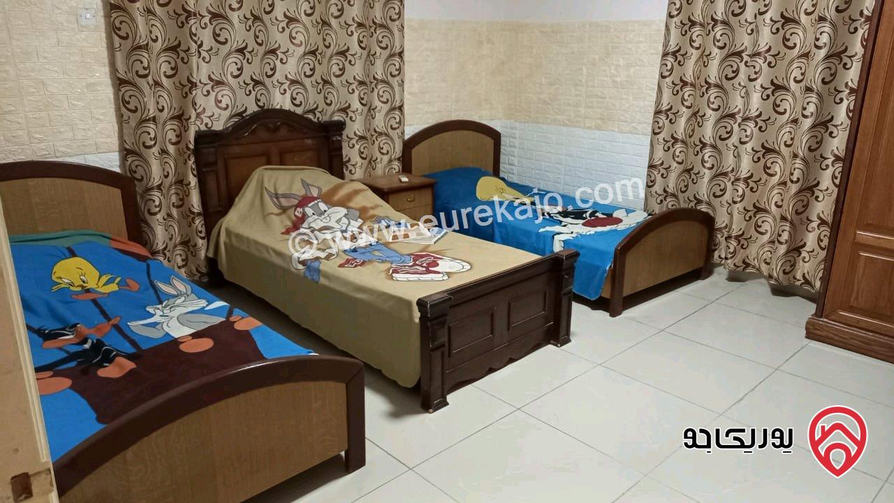 مزرعة الأمل للايجار اليومي في البحر الميت - الشونة الجنوبية