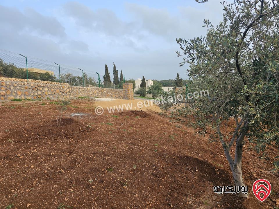 أرض مساحة 3464م للبيع في السلط – الصبيحي