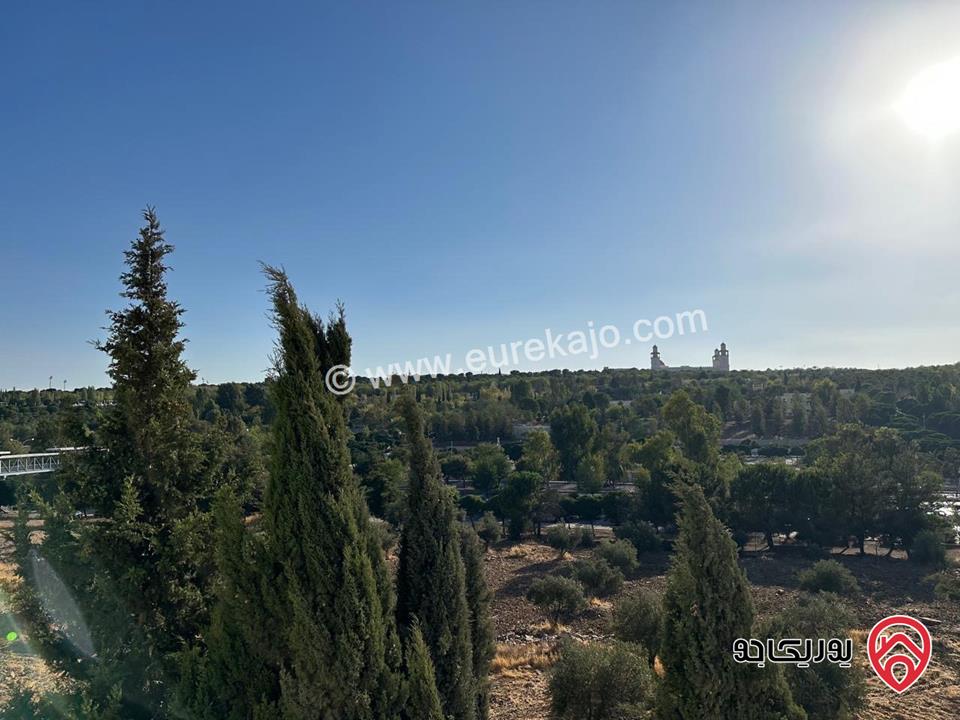 فيلا مساحة 980م على أرض 1400م للايجار في عمان - دابوق