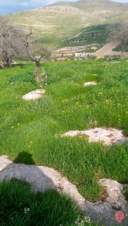 أرض مساحة 5 دونم و 760م للبيع في الزرقاء - صروت تبعد عن عمان 20 دقيقة