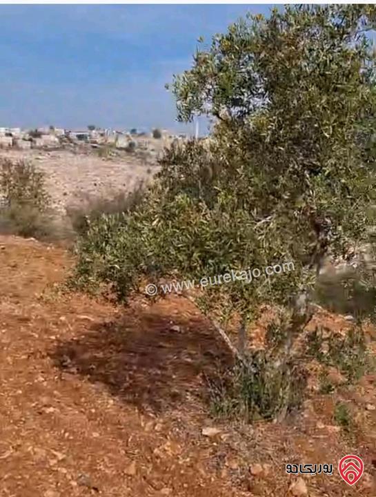 أرض مساحة 5 دونم و 603م للبيع في اربد - ملكا