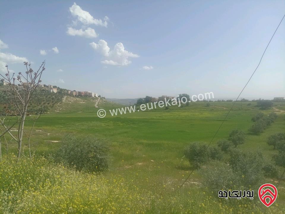 أرض مساحة 2012م للبيع في السلط الغروس سكن أخضر أطلاله جميع الخدمات واجهة كبيرة