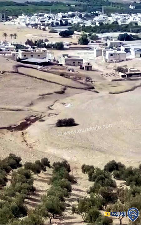 قطعة أرض مساحة 50 دنم في الغور الشمالي -اربد