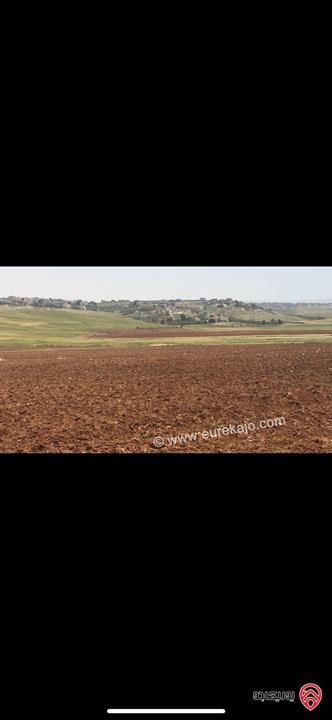 قطعة أرض مساحة 5 دونم و 772م للبيع في مادبا - ماعين