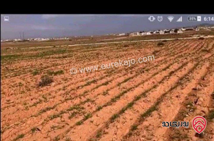 أرض مساحة 15 دونم و 529م للبيع في المفرق - أراضي البادية الشمالية منطقة قاسم