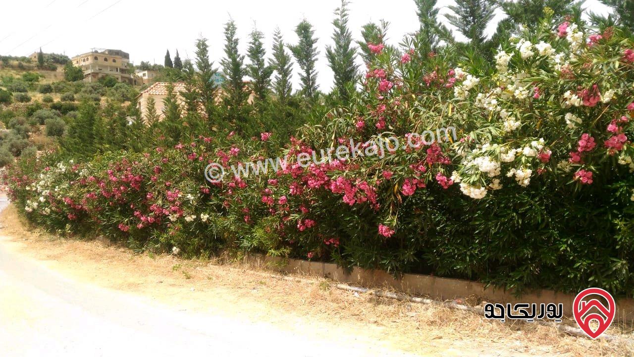 ارض مساحة 1693م للبيع في السلط - ام جوزة 