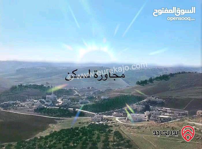 اراضي مساحة 500م للبيع في الزرقاء - جريبا 