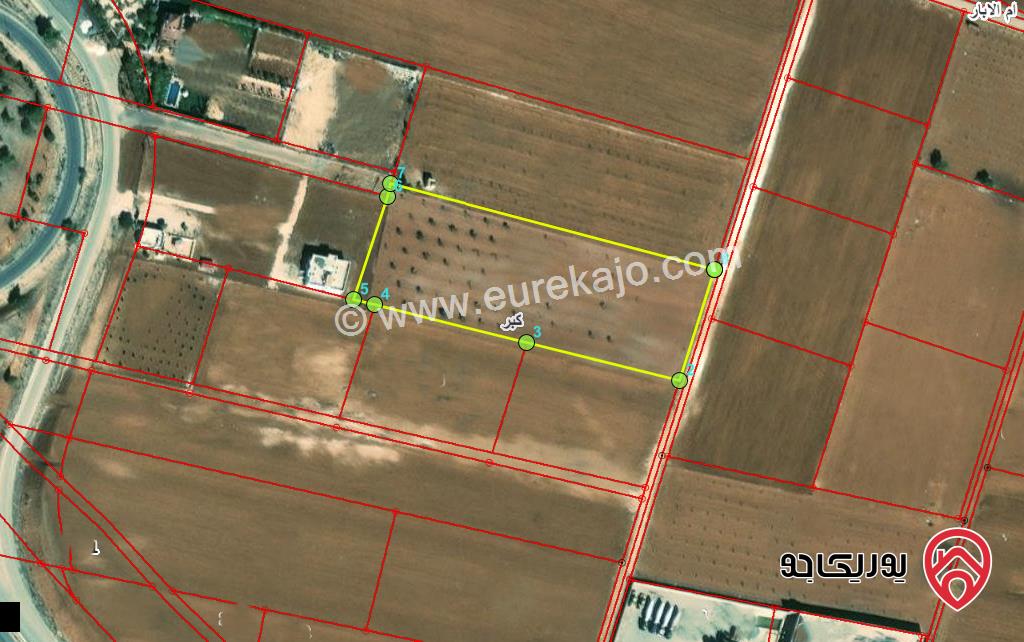 قطعة ارض مساحة 10 دونم للبيع في اربد بالقرب من جسر النعيمة 