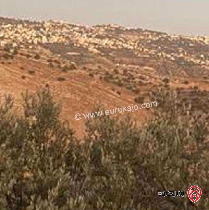 أرض مساحة 3 دونم و 427م للبيع في السلط
