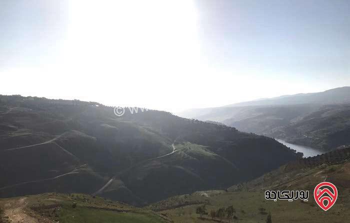 قطعة ارض تصلح لبناء شاليه مساحة 1 دونم و 483م للبيع في جرش