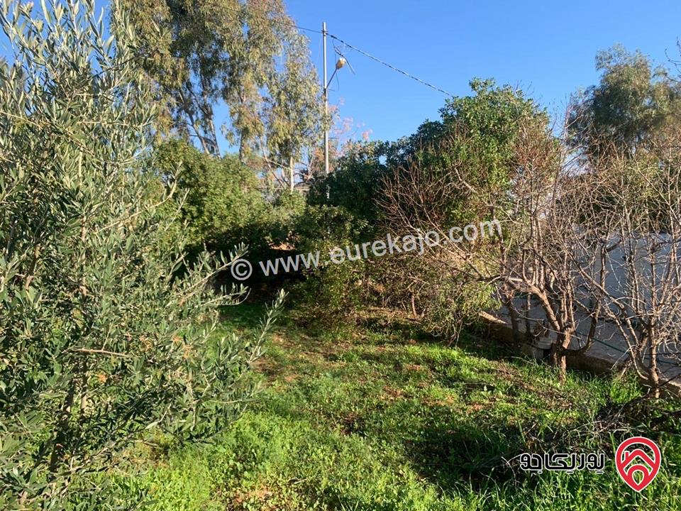 مزرعة مساحة الأرض 4 دونم والبناء 200م للبيع في البلقاء - منطقة تل الرمان 