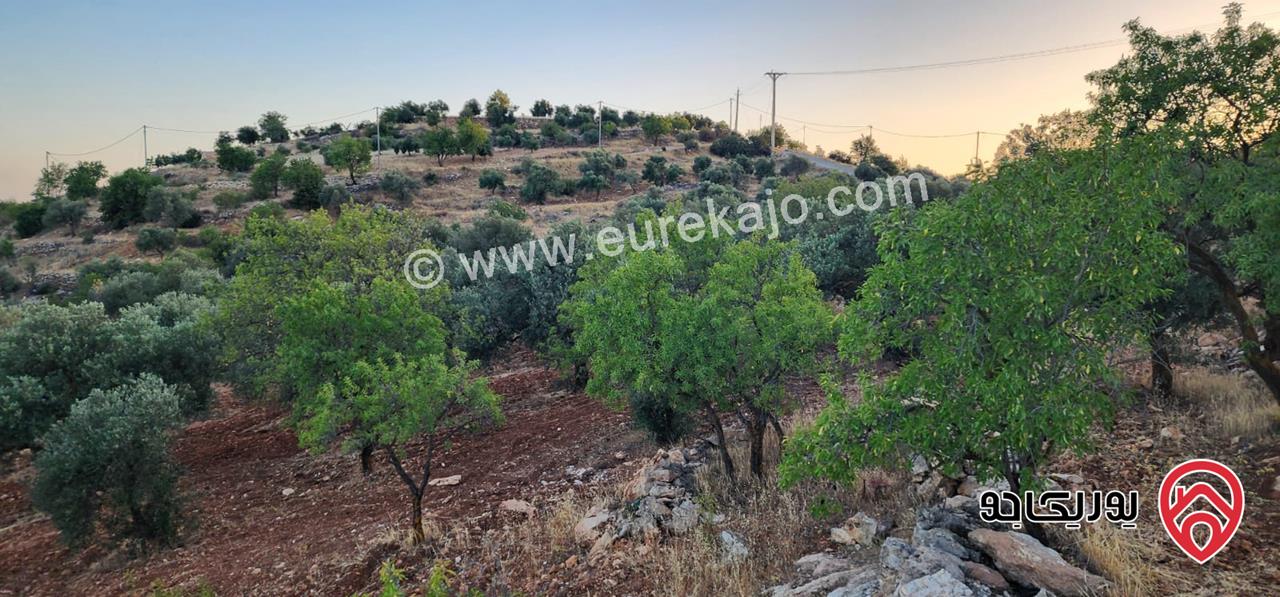 قطعة ارض مساحة 3483م للبيع في جرش - سوف بإطلالة خلابة وسط الطبيعة وهدوء الأحراش