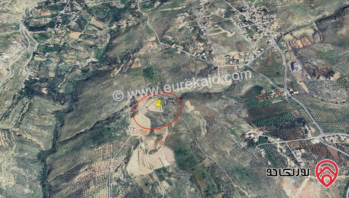 أرض مساحة 67 دونم للبيع في عمان - البحاث