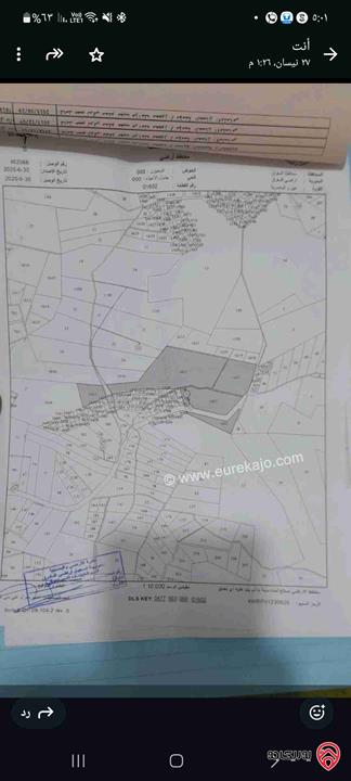 قطعة أرض مساحة 207 دونم للبيع في المفرق - رحاب الزعفرانه (ممكن بيع جزء من الأرض)