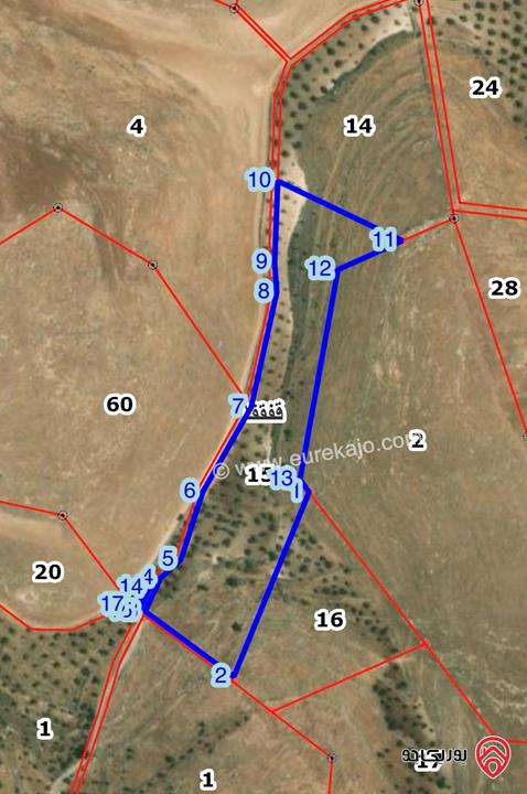 قطعة ارض مساحة 19 دونم و 195م للبيع من أراضي جرش قفقفا