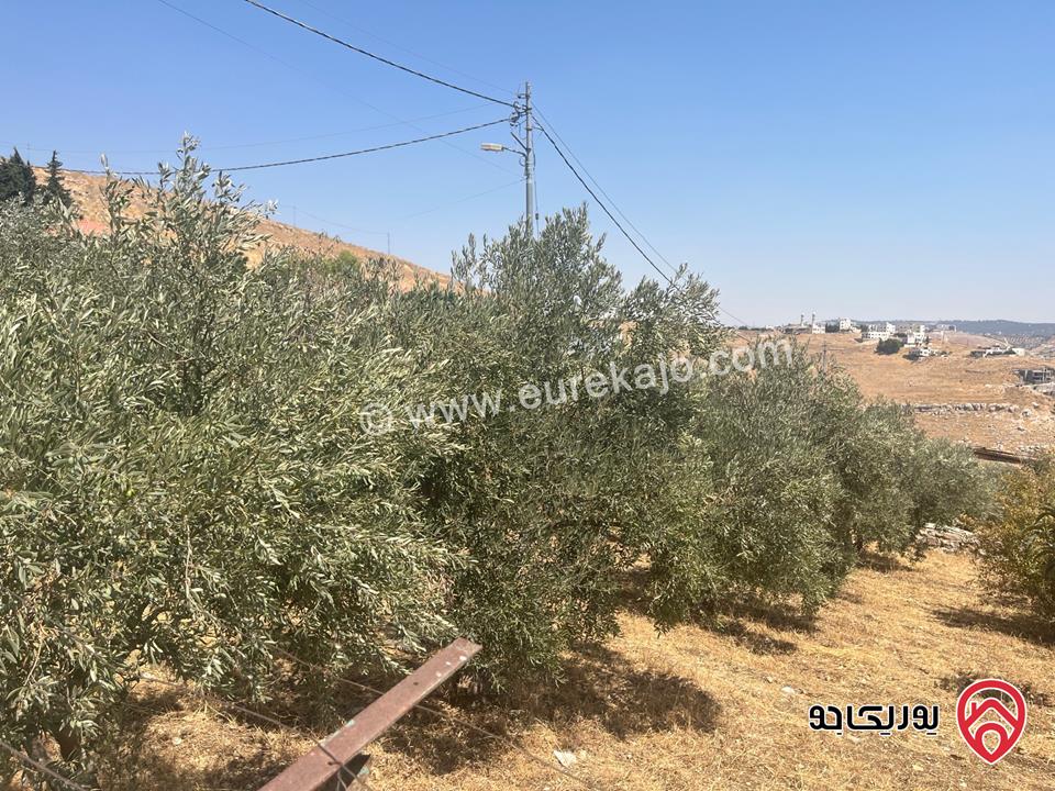 أرض مساحة 3 دونم و 600م للبيع في السلط