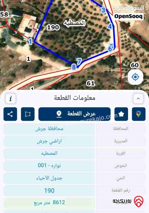 أرض زراعية مساحة 8 دونم و 612م للبيع ضمن موقع استراتيجي وإطلالة جميلة في جرش - المصطبة