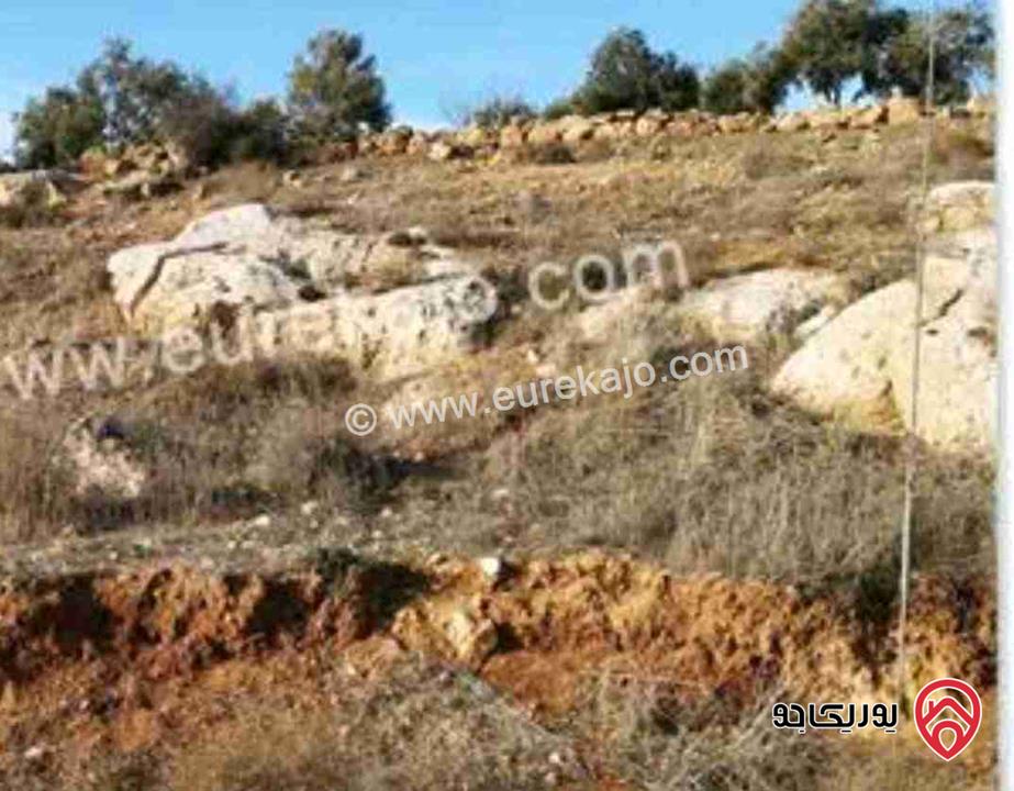 قطعة أرض مساحة 571م للبيع في الزرقاء - الكمشة